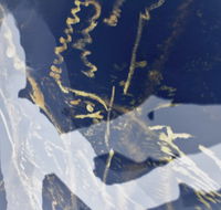 Warburton Lane Exhibits - C Tourism