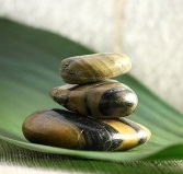 The Nature of Balance - C Tourism