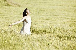 The Nature Of Balance - C Tourism 1