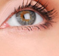 Cinnamon Stix Hair  Day Spa - C Tourism