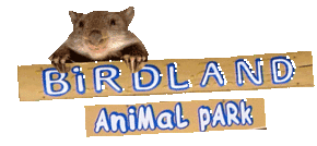 Birdland Animal Park - C Tourism