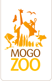 Mogo Zoo - C Tourism
