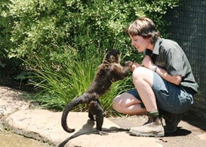 National Zoo & Aquarium - C Tourism 1