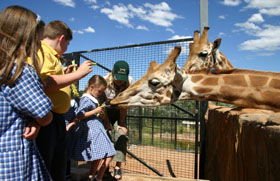 National Zoo & Aquarium - C Tourism 2