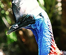 Alma Park Zoo - C Tourism 0