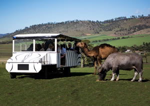 Zoo Doo Wildlife Park - C Tourism 2