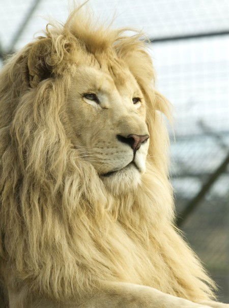 Zoo Doo Wildlife Park - C Tourism 3