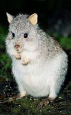 Warrawong Wildlife Park - C Tourism 1