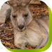 Abbotsbury NSW C Tourism