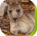 Calmsley Hill City Farm - C Tourism