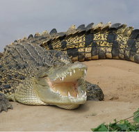 Dundee's Wildlife Park - C Tourism