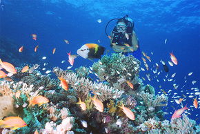  C Tourism