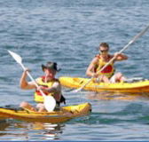 Manly Kayaks - C Tourism