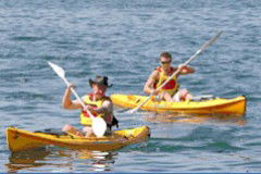 Manly Kayaks - C Tourism 0