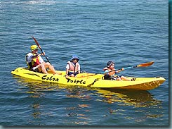 Manly Kayaks - C Tourism 3