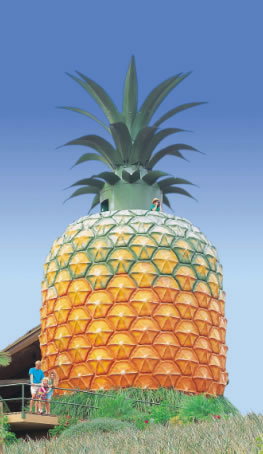 The Big Pineapple - C Tourism 0
