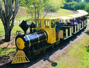 The Big Pineapple - C Tourism 1