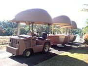 The Big Pineapple - C Tourism 2