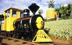 The Big Pineapple - C Tourism 3