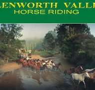 Glenworth Valley Horseriding - C Tourism