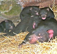 East Coast Natureworld - C Tourism