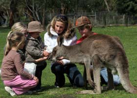 Gumbuya Park - C Tourism 1