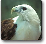 Kakadu National Park - C Tourism