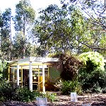Koala Conservation Centre - C Tourism 1