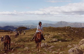 High Country Horses - C Tourism 0