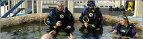 Scuba World - C Tourism 2