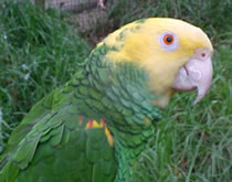 Gorge Wildlife Park - C Tourism 3