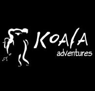 Koala Adventures - C Tourism