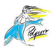 Polperro Dolphin Swims - C Tourism