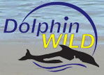 Moreton Island QLD C Tourism