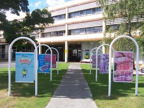 Cadbury Chocolate Factory Tour - C Tourism 2