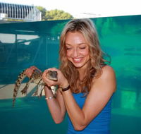 Crocosaurus Cove - C Tourism