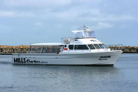 Mills Charters Fishing And Whale Watch Cruises - C Tourism 1