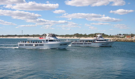 Mills Charters Fishing And Whale Watch Cruises - C Tourism 2