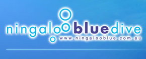 Ningaloo Blue Dive - C Tourism 0