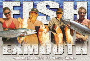 Ningaloo Blue Dive - C Tourism 2