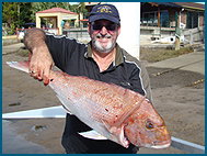 Odyssey Charters - C Tourism 1