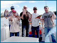 Odyssey Charters - C Tourism 2