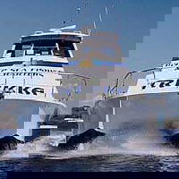 Sunshine Coast Fishing Charters - C Tourism 0