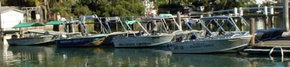 Brooklyn Central Boat Hire & General Store - C Tourism 1