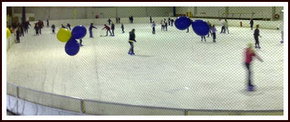 Bendigo Ice Stadium - C Tourism 2
