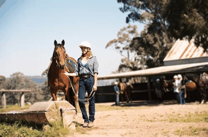 Watsons Trail Rides - C Tourism 0