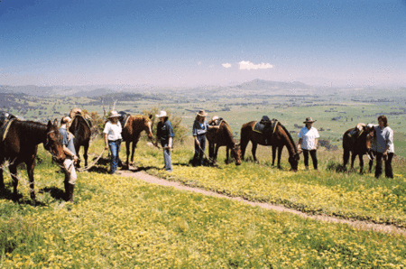 Watsons Trail Rides - C Tourism 1