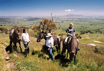 Watsons Trail Rides - C Tourism 2