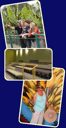 Big Banana - C Tourism 2
