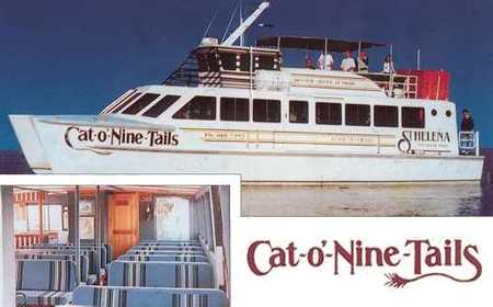 Cat O' NineTails - C Tourism 1